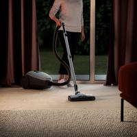 Sesalnik Electrolux PD82-4MG